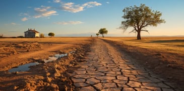 a dirt road with trees in the background