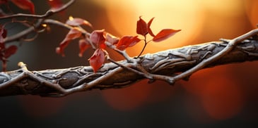 a branch with red leaves on it