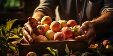 a person holding a box of apples