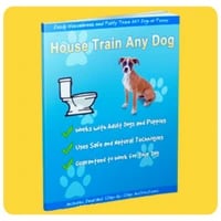 House Train Any Dog