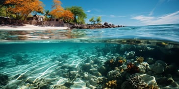 a coral reef and a sandy beach