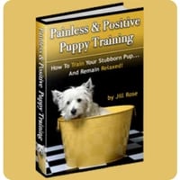 Painless and Positive Puppy Training