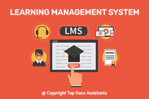 Portfolio for Learning Management System (LMS)