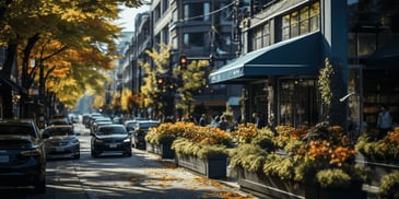 a street with cars and trees